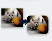 სურათი, კუთხეები, მომრგვალება, ონლაინ, რეჟიმში