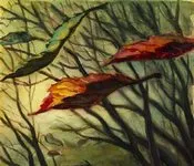 ტარიელ, ხარხელაური, ხმელო, ფოთოლო