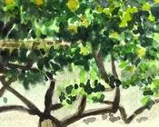 ეს, გაზაფხული, მობრძანდება, ავთანდილ, გურგენიძე 