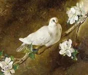 მშვიდობის, მტრედი, მოფრინდა, ავთანდილ, მეგრელიშვილი 