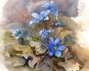 მეც, ვხარობ, ავთანდილ, გურგენიძე 