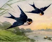 გაზაფხული, აკაკი, წერეთელი