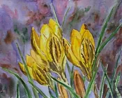 გაზაფხული, ტერენტი, გრანელი