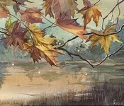 ბუნების, სურათი, ვაჟა, ფშაველა