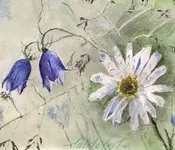 პაწაწინა, ყვავილო, ვარლამ, ნიკოლაძე