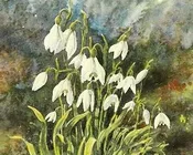 ვერ, გადავურჩით, მარტის, ქარტეხილს, გელა, დაიაური