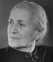 თბილისის, კედლებს, მარიჯანი