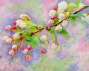 იწყებოდა, მარტი, ნიკო, გომელაური