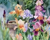 სამი, დობილი, მაყვალა, მრევლიშვილი