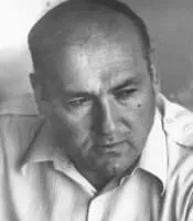 მეცხრამეტე, ის, საუკუნე, სილოვან, ნარიმანიძე 