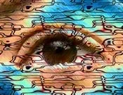 უჩვეულო, და, საინტერესო, ფაქტები