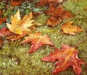 ყვითელი, ფოთლები, გალაკტიონ, ტაბიძე