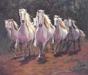 თამაზ ჭილაძე - იპოდრომი