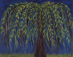 შოთა ნიშნიანიძე - ორი ტირიფი