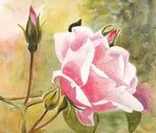 გალაკტიონ ტაბიძე - სილაჟვარდე ანუ ვარდი სილაში