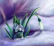 ანა კალანდაძე - თეთრი თოვლის ქვეშ...