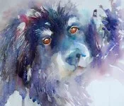 შოთა, ნიშნიანიძე, თუ, ძაღლს, ოდესმე, მიფერებიხარ...