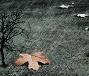 გალაკტიონ ტაბიძე - ვერხვები