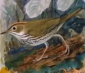 ილია ჭავჭავაძე - ხმა გულისა