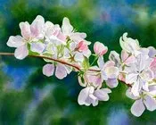 ზაურ ბოლქვაძე - აპრილი