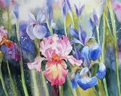 გაზაფხული, ლალი, ჯაფარაშვილი