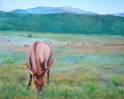 იროდიონ ევდოშვილი - გაზაფხულის პირი