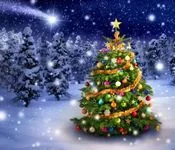 ნაძვის, ხე, გიორგი, კაჭახიძე