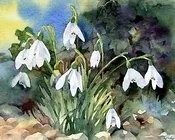 შიო მღვიმელი - ენძელა