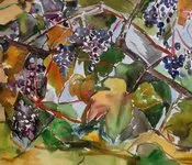 შოთა ნიშნიანიძე - ვაზის სიმფონია