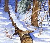 ვალერიან გაფრინდაშვილი - ზამთარი