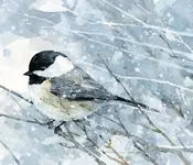 თოვს, ხვავრიელად, დაუსრულებლივ, იორამ, ქემერტელიძე