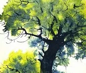 გიორგი ლეონიძე - ოლე