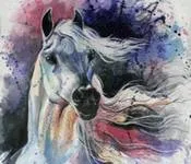 ჩემს, ლურჯას, სევერიან, ისიანი