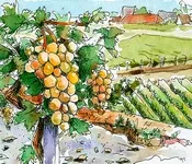 ტარიელ ჭანტურია - შემოდგომა