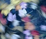 შოთა ნიშნიანიძე - ქარი