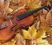 რეზო ამაშუკელი - ქუჩები წვიმით გადაიფერა