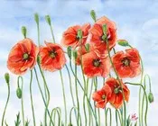 ლადო ასათიანი - ყაყაჩო