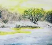 შალვა ფორჩხიძე - თებერვალი