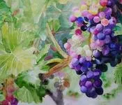 შემოდგომა, შოთა, აკობია