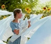 ვალერიან გაფრინდაშვილი - შემოდგომის საღამო