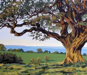 მუხა, შოთა, ნიშნიანიძე - 