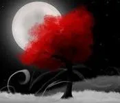 შუაღამე, დნება, როცა, ნიკო, გომელაური