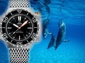 წყალგაუმტარი, და, წყალგამძლე, საათები