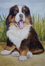 ივანე კრილოვი - ძაღლი