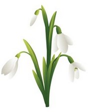 ენძელა და ია