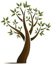 კაკლის ხეივანი