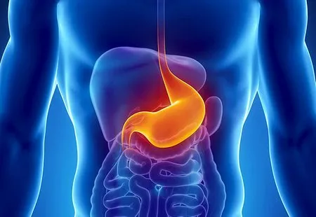 კუჭი კუჭი