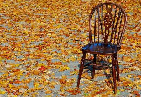 სკამი სკამი