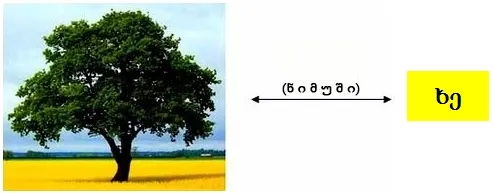 ვასწავლოთ ბავშვებს სწრაფი კითხვა - მეორე პროცედურა ვასწავლოთ ბავშვებს სწრაფი კითხვა - მეორე პროცედურა