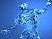 წყლის ფუნქციები ორგანიზმში